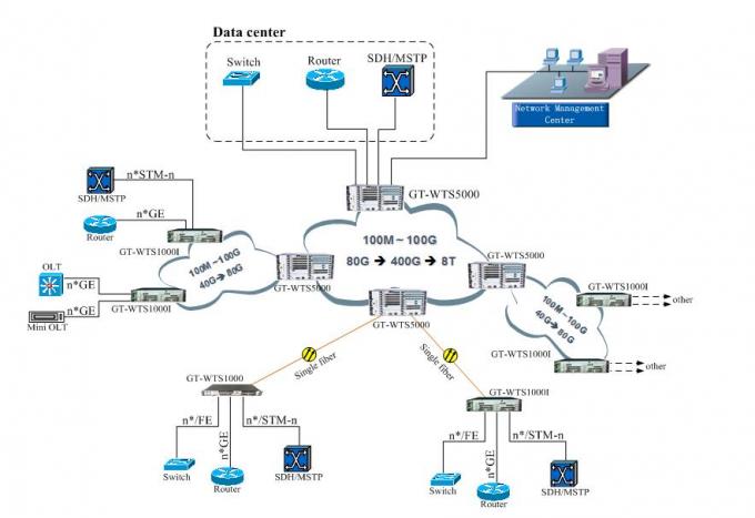 Sonet Services 100G Dwdm/Cwdm OTN Product Metro Core Layer Supports Edfa