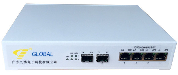 PW PTN IPRAN Fiber Optical Network Series GE 10GE ETH Interface